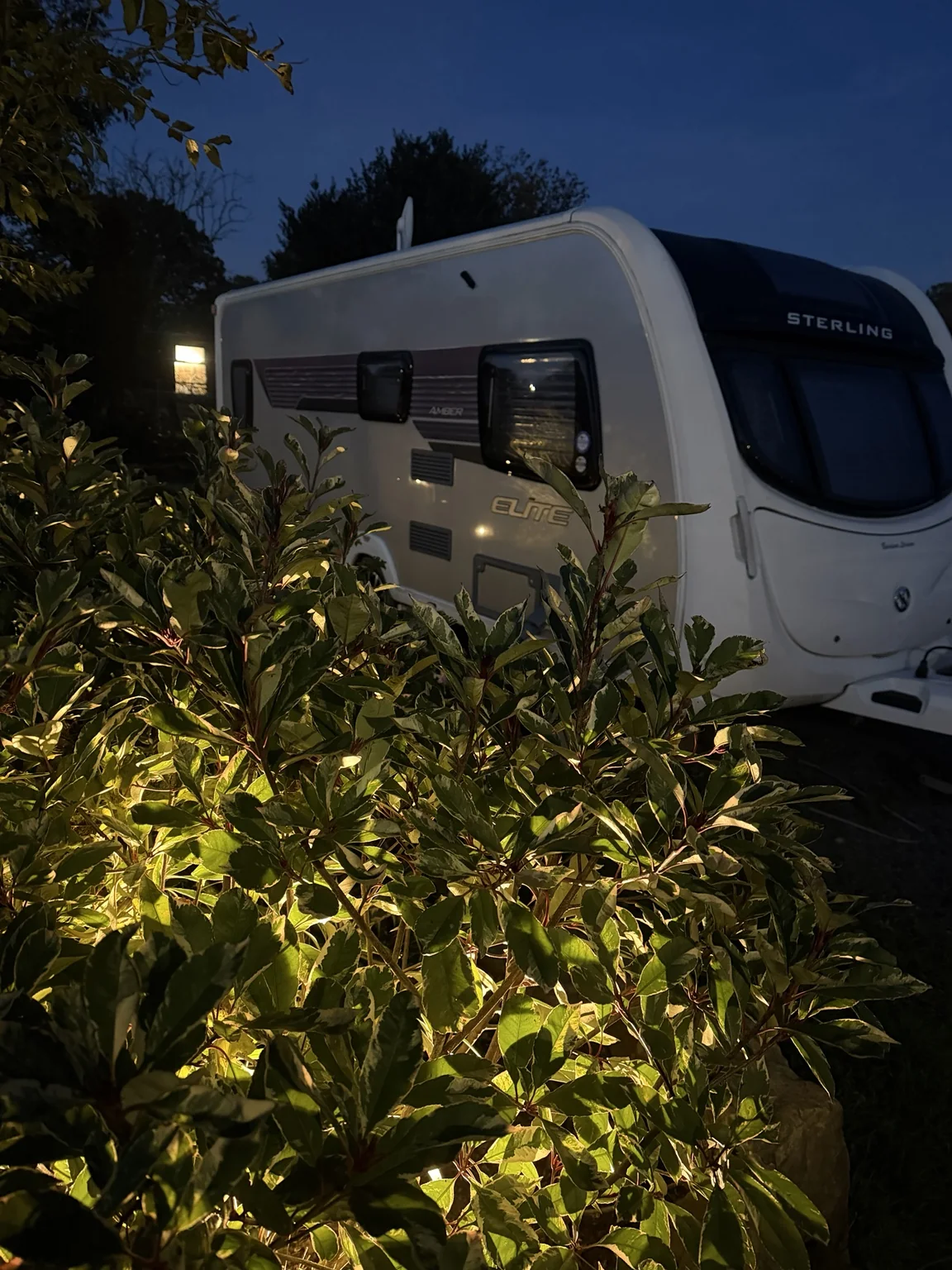 Touring caravan beside softly lit shrubs on an evening at Glanfar Meadows