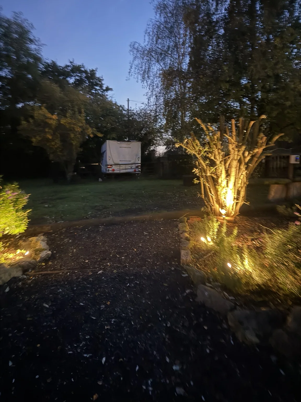 Warm lights illuminating a tree and planting beside a touring pitch at Glanfar Meadows